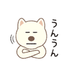 しばいぬさん（白）（個別スタンプ：11）
