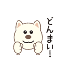 しばいぬさん（白）（個別スタンプ：18）