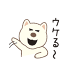しばいぬさん（白）（個別スタンプ：23）