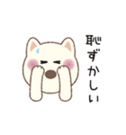 しばいぬさん（白）（個別スタンプ：24）