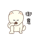 しばいぬさん（白）（個別スタンプ：31）