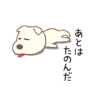 しばいぬさん（白）（個別スタンプ：35）