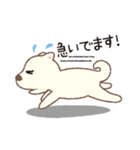 しばいぬさん（白）（個別スタンプ：40）