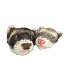 しー＆こじ＆おむ（個別スタンプ：27）