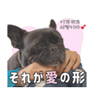 フレブルの使えるハングル2（個別スタンプ：4）
