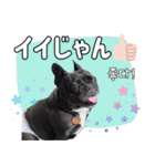 フレブルの使えるハングル2（個別スタンプ：7）