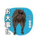 フレブルの使えるハングル2（個別スタンプ：13）