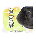 フレブルの使えるハングル2（個別スタンプ：15）