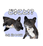 フレブルの使えるハングル2（個別スタンプ：16）