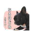 フレブルの使えるハングル2（個別スタンプ：17）