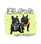 フレブルの使えるハングル2（個別スタンプ：20）