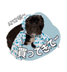 フレブルの使えるハングル2（個別スタンプ：27）