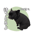 フレブルの使えるハングル2（個別スタンプ：30）