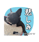 フレブルの使えるハングル2（個別スタンプ：31）