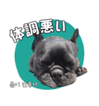 フレブルの使えるハングル2（個別スタンプ：33）