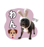フレブルの使えるハングル2（個別スタンプ：36）
