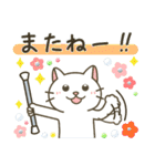 バトントワリング！連絡用〈白猫〉（個別スタンプ：16）
