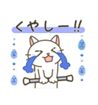 バトントワリング！連絡用〈白猫〉（個別スタンプ：23）