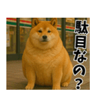 太りーヌ01（個別スタンプ：12）