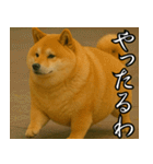 太りーヌ01（個別スタンプ：13）