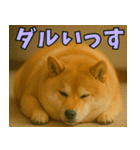 太りーヌ01（個別スタンプ：18）