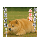 太りーヌ01（個別スタンプ：22）