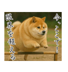 太りーヌ01（個別スタンプ：39）