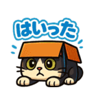 四角いネコのぶんた（個別スタンプ：2）