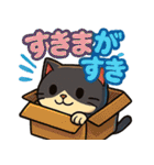 四角いネコのぶんた（個別スタンプ：8）