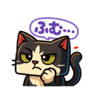 四角いネコのぶんた（個別スタンプ：11）