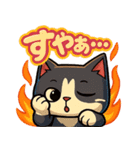 四角いネコのぶんた（個別スタンプ：16）