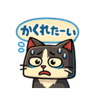 四角いネコのぶんた（個別スタンプ：19）