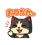 四角いネコのぶんた（個別スタンプ：29）