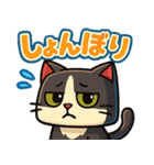 四角いネコのぶんた（個別スタンプ：31）