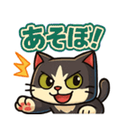 四角いネコのぶんた（個別スタンプ：35）