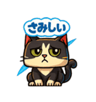 四角いネコのぶんた（個別スタンプ：37）