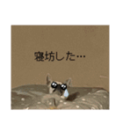 チワワ？スタンプ（個別スタンプ：33）