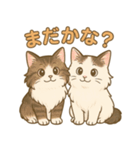 ノルウェージャンフォレストキャット猫（個別スタンプ：8）
