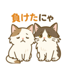 ノルウェージャンフォレストキャット猫（個別スタンプ：12）