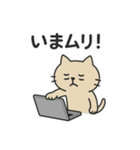 のほほん、ゆるっと参上（個別スタンプ：7）