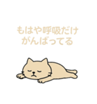 のほほん、ゆるっと参上（個別スタンプ：37）