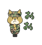 陸上自衛隊・ゆるっと柴犬三曹2（個別スタンプ：3）