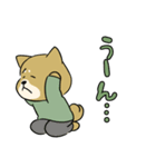 陸上自衛隊・ゆるっと柴犬三曹2（個別スタンプ：7）