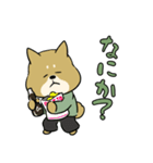 陸上自衛隊・ゆるっと柴犬三曹2（個別スタンプ：10）