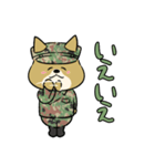 陸上自衛隊・ゆるっと柴犬三曹2（個別スタンプ：11）
