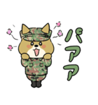 陸上自衛隊・ゆるっと柴犬三曹2（個別スタンプ：16）