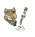 陸上自衛隊・ゆるっと柴犬三曹2（個別スタンプ：20）