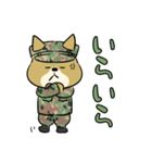 陸上自衛隊・ゆるっと柴犬三曹2（個別スタンプ：35）