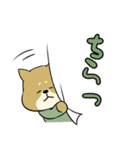 陸上自衛隊・ゆるっと柴犬三曹2（個別スタンプ：39）
