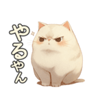 関西弁×ぽっちゃり猫！シロモチさん。（個別スタンプ：12）